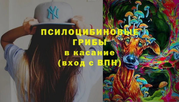 мяу мяу мука Покачи