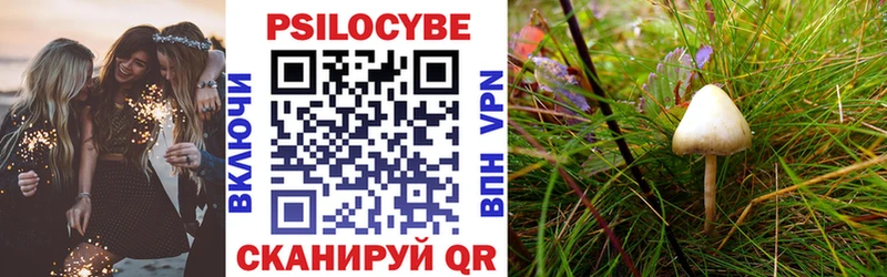 Псилоцибиновые грибы Magic Shrooms  Суворов 